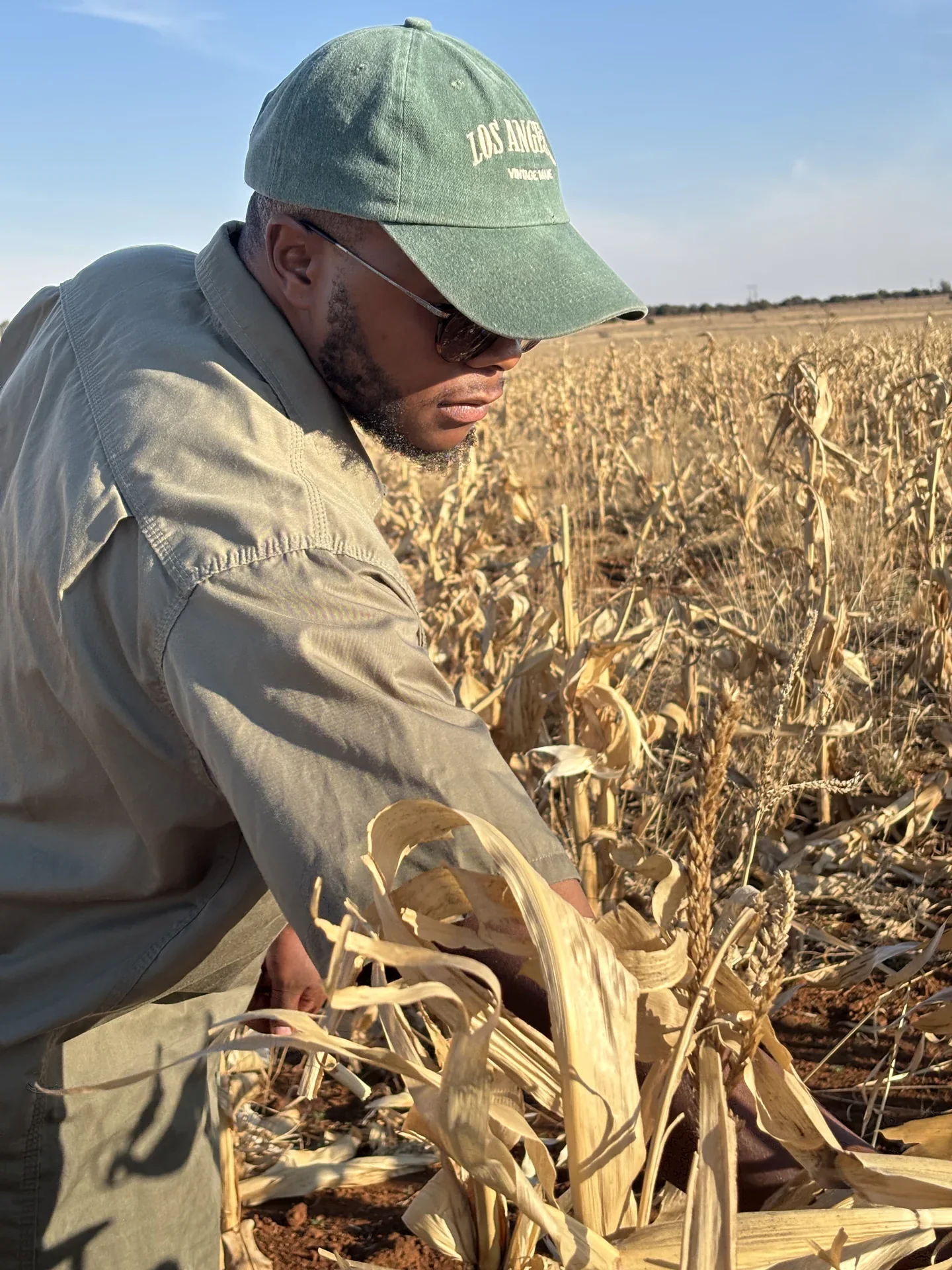 Farmer inspecting healthy crops in a lush field